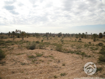 V 057 -                            Koupit
                           Terrain Djerba